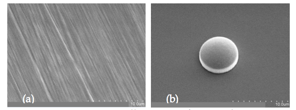 Figure 2: SEM images to illustrate surface roughness